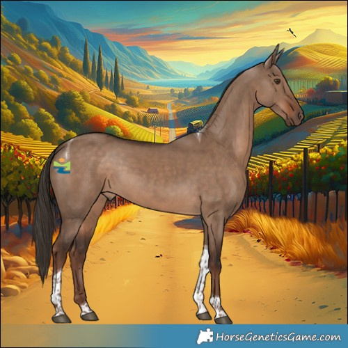 Horse Color:Liver Red Dun Tobiano 