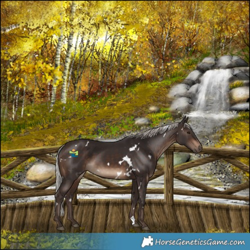 Horse Color:White Spotted Silver Brown 
