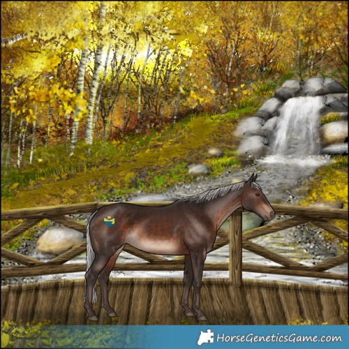 Horse Color:Silver Brown Mushroom 