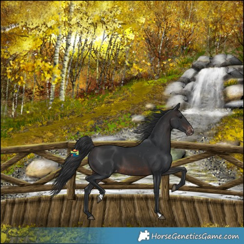 Horse Color:Brown Varnish