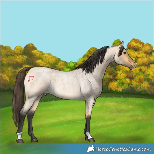 Horse Color:Buckskin Roan Dun