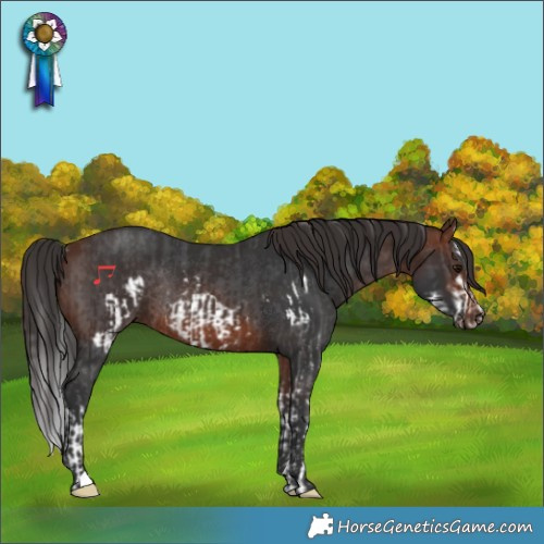 Horse Color:Brown Sabino Splash Frame Rabicano  and Bay Rabicano 
