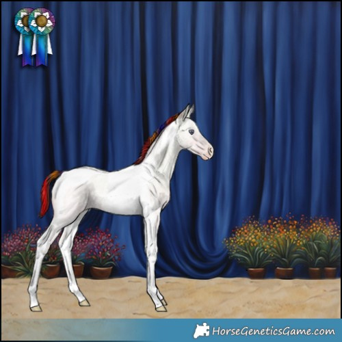 Horse Color:Painted Chocolate Amber Champagne Chinchilla Ice Roan Onyx Tobiano