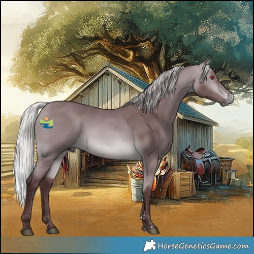 Horse Color:Chocolate Silver Bay Chinchilla 