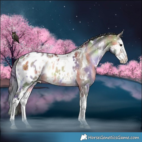 Horse Color:Nacre White Spotted Bay Onyx Splash Blanket