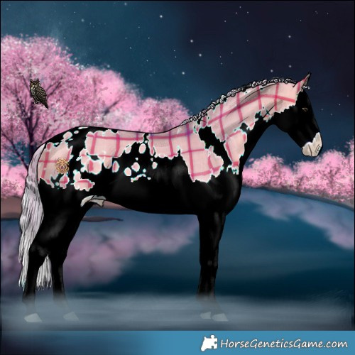 Horse Color:Watercolor Plaid White Spotted Silver Bay Dun Splash