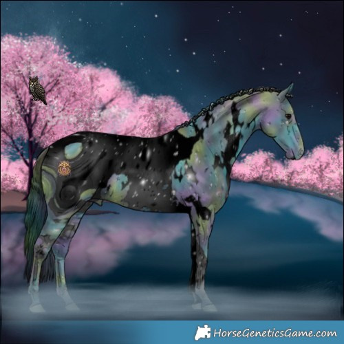 Horse Color:ERROR: UNKNOWN ANOMALY
