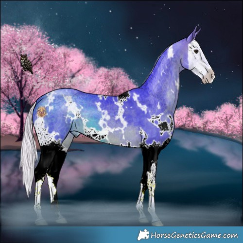 Horse Color:Watercolor White Spotted Silver Brown Splash