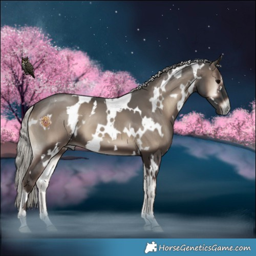 Horse Color:White Spotted Silver Blue Onyx