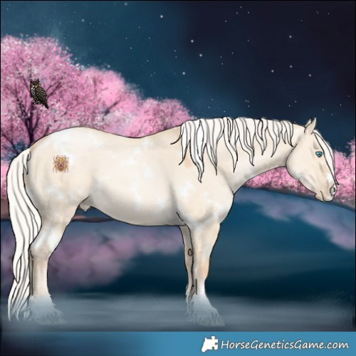 Horse Color:White Spotted Silver Buckskin Pearl Dun