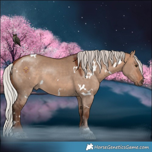 Horse Color:White Spotted Silver Bay Dun 