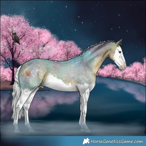 Horse Color:Watercolor Silver Buckskin Dun Splash 