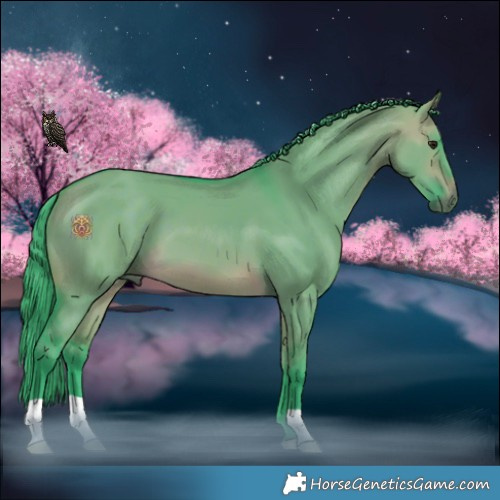 Horse Color:Watercolor Brown Dun 