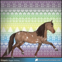 Horse Color:White Spotted Liver Red Dun