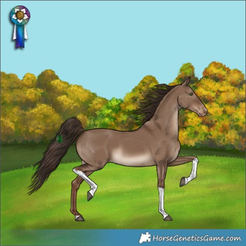 Horse Color:Liver Red Dun Tobiano Appaloosa 