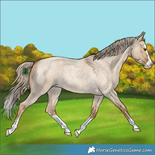 Horse Color:Chocolate Palomino Roan Dun Splash 