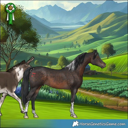 Horse Color:Brown Tobiano 