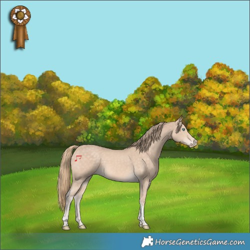 Horse Color:Perlino Tobiano Rabicano 