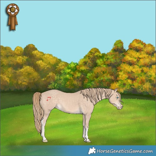 Horse Color:Perlino Tobiano Rabicano 