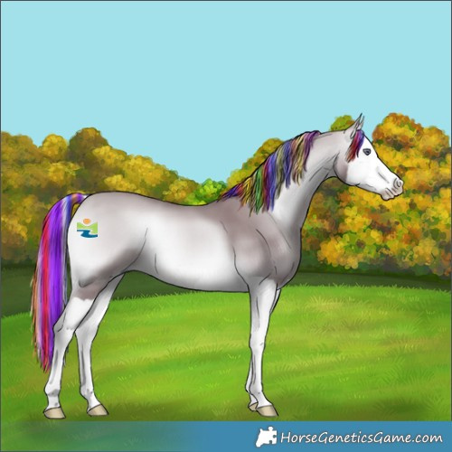 Horse Color:Painted Chocolate Silver Bay Chinchilla Onyx Splash 