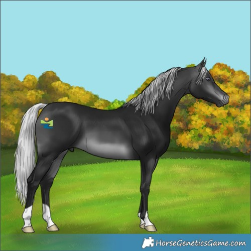 Horse Color:Gray Platinum Silver Bay Chinchilla