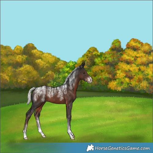 Horse Color:Powder White Liver Chestnut Mushroom 