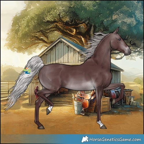 Horse Color:Chocolate Silver Brown Chinchilla 