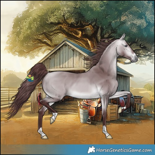 Horse Color:Chocolate Buckskin Chinchilla 