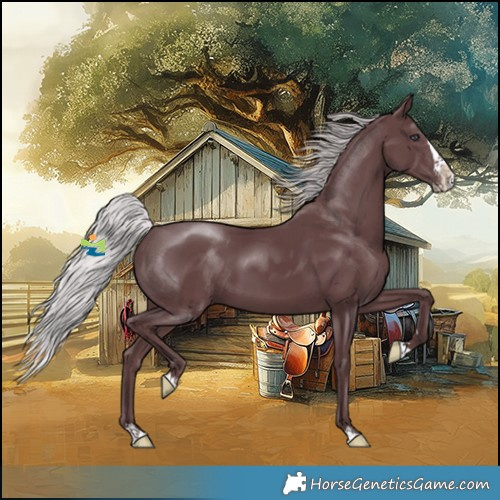 Horse Color:Chocolate Silver Black Chinchilla Splash