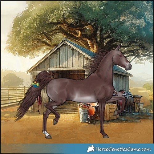 Horse Color:Chocolate Brown Chinchilla 