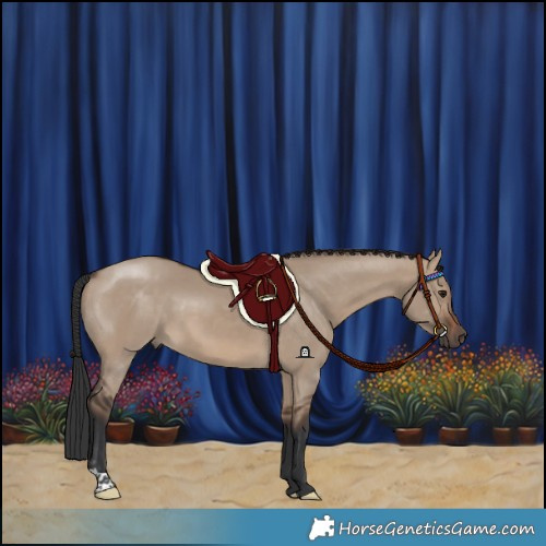 Horse Color:Brown Dun 