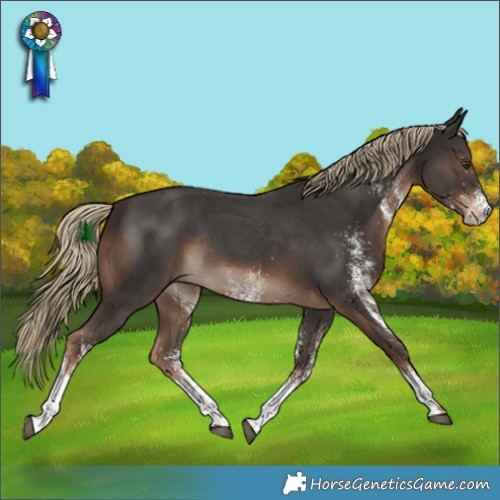 Horse Color:White Spotted Liver Chestnut Rabicano 