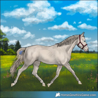 Horse Color:Smoky Creme Frame 