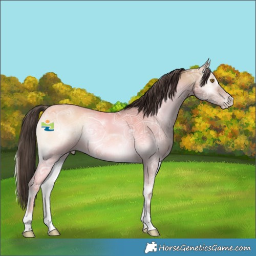 Horse Color:Amber Champagne Ice Onyx