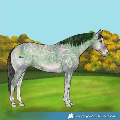 Horse Color:Plaid  Blue Onyx Ice 