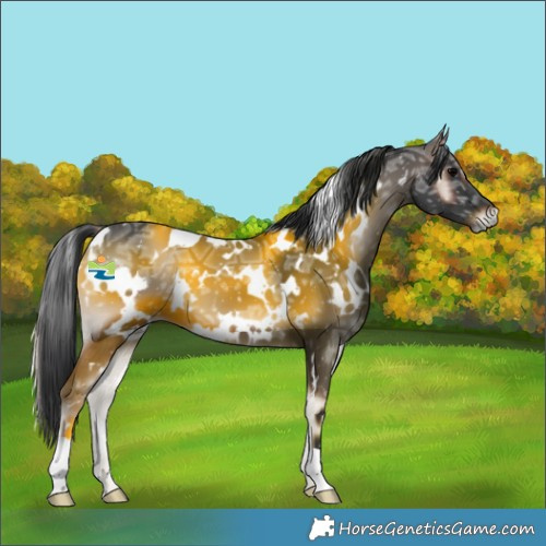 Horse Color:White Spotted Blue Onyx Ice 