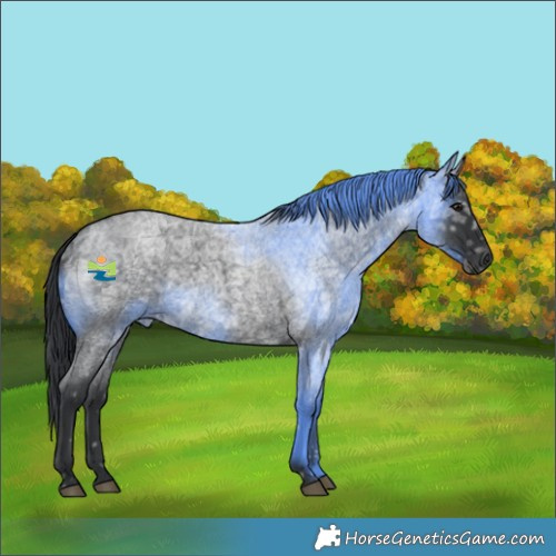 Horse Color:Blue Ice Roan 
