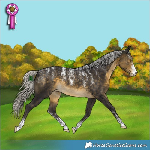 Horse Color:Powder White Silver Buckskin Appaloosa
