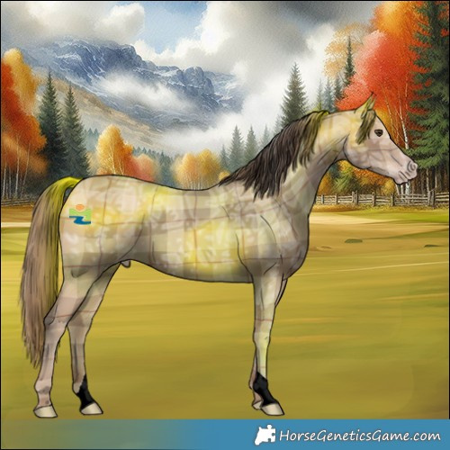 Horse Color:Plaid  Classic Champagne Ice 