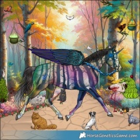 Horse Color:Smoky Blue Roan Sabino Splash  and Smoky Blue Roan Sabino Splash 