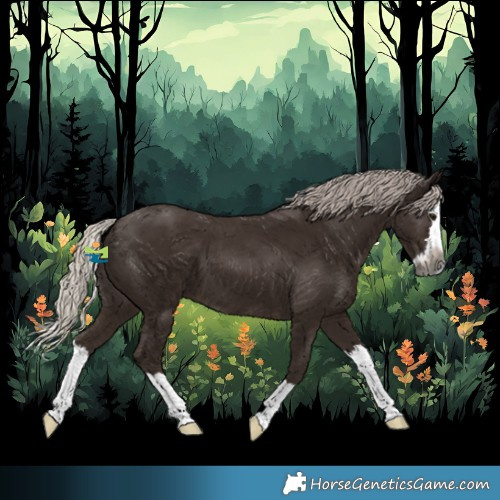 Horse Color:Gray Silver Black Splash 