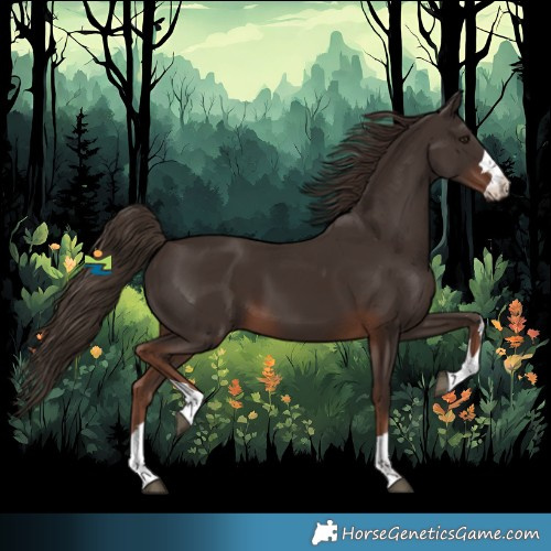 Horse Color:Liver Chestnut
