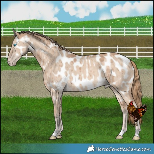 Horse Color:Perlino Dun Near Leopard Brindle 