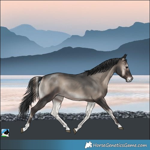 Horse Color:Blue Onyx Mushroom Rabicano 