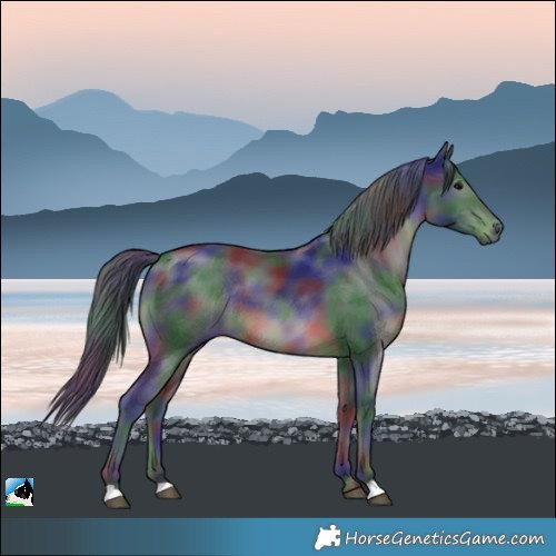 Horse Color:Nacre Black Mushroom Rabicano 