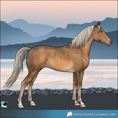 Horse Color:Chocolate Palomino Mushroom Rabicano 