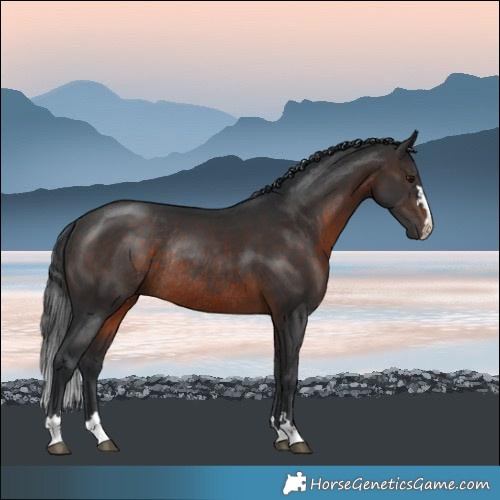 Horse Color:Brown Mushroom Rabicano