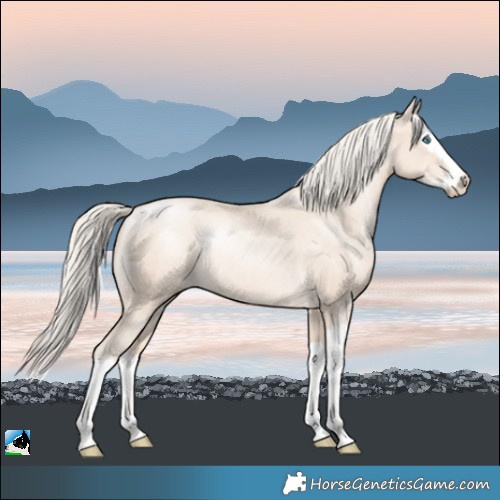 Horse Color:Gold Cream Champagne Pearl Mushroom Splash Rabicano 