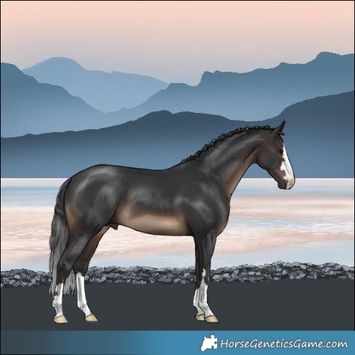 Horse Color:Brown 