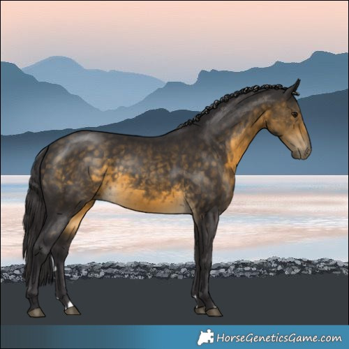 Horse Color:Buckskin Rabicano 